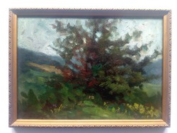 Signed landscape oil, cardboard painting with a nice frame