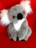 Ausztrál Koala Mackó, Maci Adelaide-ból (nem kicsi!)