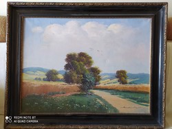 Szentmiklóssy z .: Large size flawless oil, canvas painting in a beautiful frame 96x76 cm