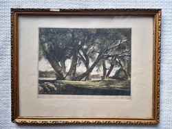 Zoltán Kaveczky: willow trees on the Tisza river, etching