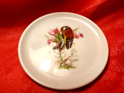Porcelain decorative plate with a bird pattern, style hinge