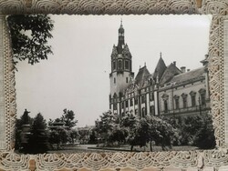 Kiskunfélegyháza-Petőfi square/postcard 1960