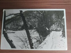 Régi fotó képeslap, Lillafüred, A befagyott tóparti részlet, Weinstock Ernő kiadása, Budapest, 1931