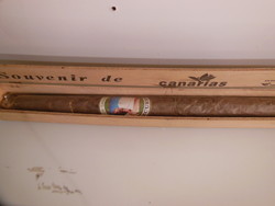 Cigar - giant - 43 x 3 cm - canarias - in a wooden box - unopened