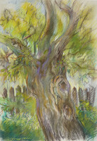 István Sappanos: old walnut tree (pastel cardboard, 64x52 cm, framed)