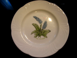 Rare lilien botanical small plate desirée