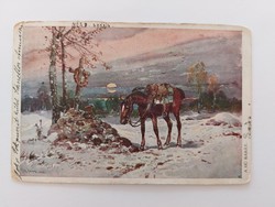 Régi képeslap 1915 lovas katona sírja levelezőlap
