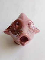 A rare unique pink fish