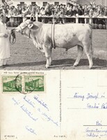 Budapest Országos Mezőgazdasági kiállítás 1956    .Posta van !