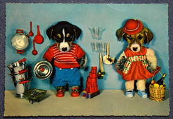 Vintage groteszk fotó képeslap beöltöztetett kutyák