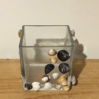 Kagyló négyzetes üveg