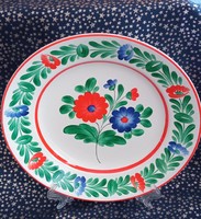 Hand painted wall plate