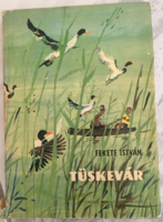 Tüskevár - a novel by István Kekete, 1964