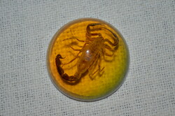 Horoszkópos asztal dísz ( skorpió )