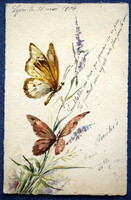 Antik kézi festésű üdvözlő képeslap 1904ből   lepkék virágok