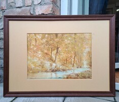 Tibor Nemes (1955-) watercolor landscape - nature - painter from Szentendre