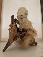 Taxidermized animal on a wood