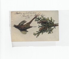 Újévi Ünnepi  képeslap fácán 1906