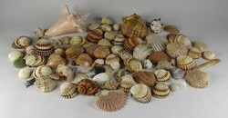 1L494 Régi kagyló csiga tengeri kőzet csomag 100 darab