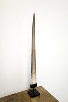 Large swordfish 'fang' in metal base