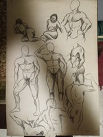 Lajos Várady, anatomical study drawing