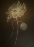 "Te vagy a csend"- grafika Schubert dala nyomán (Du bist die Ruh)
