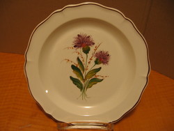 Botanical Wechsler hand painted, numbered ceramic wall plate