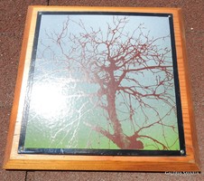 Barren wood - fire enamel picture - enamel picture