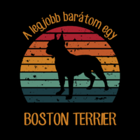 A legjobb barátom egy BOSTON TERRIER - vintage stílusú kutyás vászonkép