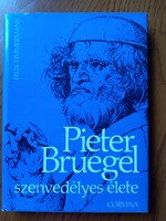 Felix Timmermans  - Pieter Bruegel szenvedélyes élete