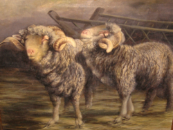 Guaranteed original Béla Harmann painting: sheep
