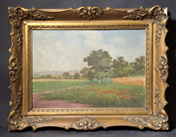 Szentgály: spring landscape with poppies (46x36 cm) oil, cardboard