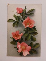 Régi képeslap 1922 virágos levelezőlap vadrózsa