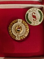 2 pieces of the judicial tribal guard mjsz fire enamel pin badge