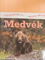 Szórakoztató állatvilág-Medvék,Oroszlánok,Zebrák fóliás csomagban (3db)