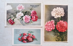 Old postcard with carnation greeting card 3 pieces from around 1940