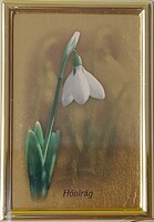 Miniatűr aranykép, falikép aranyozott lemezre nyomtatva - Hóvirág