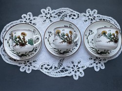 Villeroy and boch botanica tea cup sets