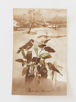 Old Christmas postcard postcard snowy landscape little bird