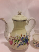 Antique museum bieder hand-painted tea coffee pouring pot cup gilded forget-me-not and flower b