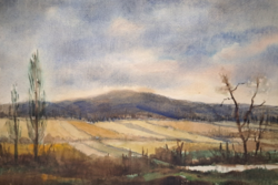 Anna J. Neuberger: landscape of Nagyegyháza - close-up, gerecse - autumn landscape, watercolor