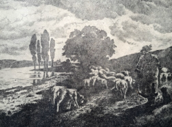 Estefelé, hazafé juhokkal (rézkarc) Bereczky Vilmos - teljes méret 27,5x37,5 cm) pásztor, bárányok