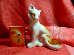 Porcelain fox, nipple