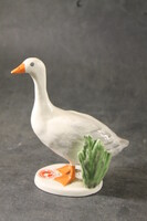 Aquincum's rare goose 373
