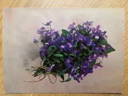 Violet/spring flowers/retro postcard/1973