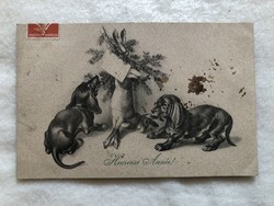 Antik M.M. VIENNE  képeslap - Vadászat, kutyák, nyúl                           -2.