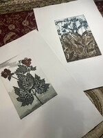 Katalin Kádár 2 etchings for sale!