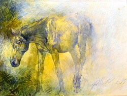 Zoltán Porkoláb (1962-): horse