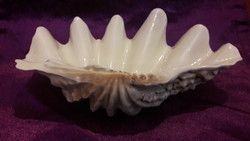 Hollóházi porcelán kagyló tál (L3210)