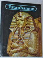 Tutankhamun - the life and death of a pharaoh